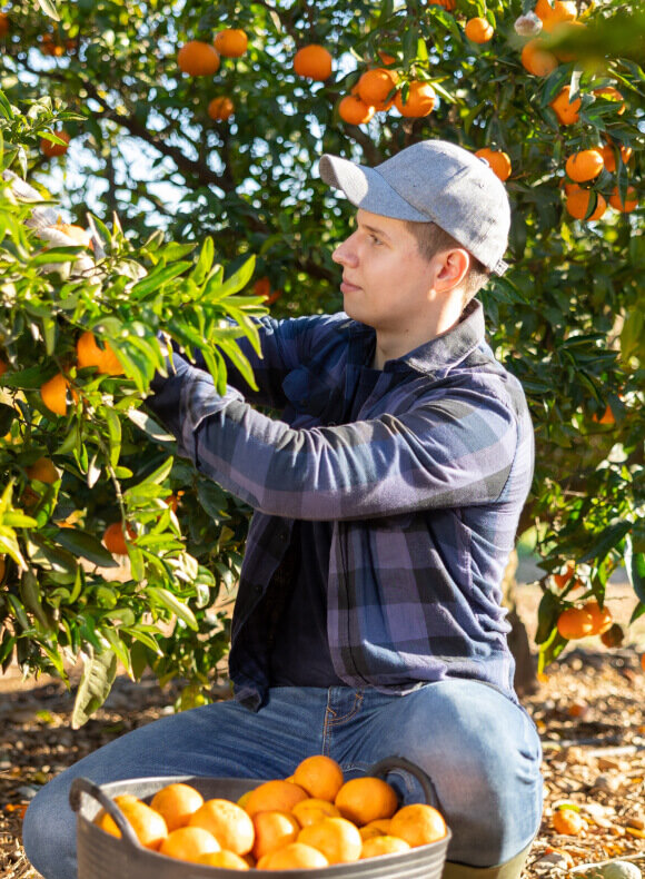 Farm-Fresh Selection