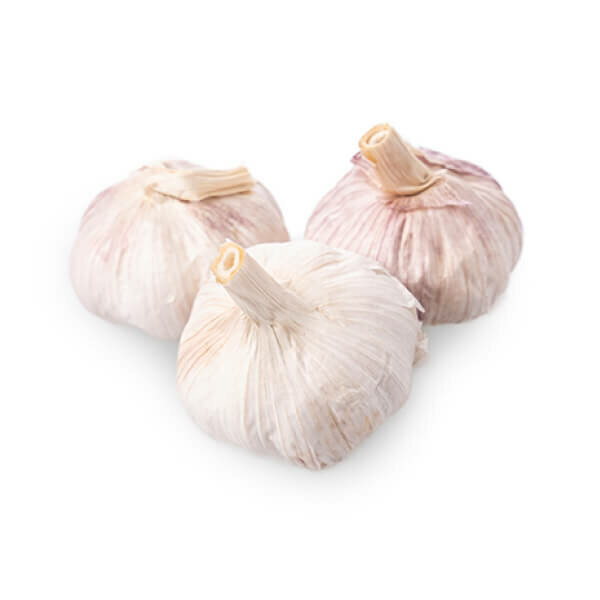 White Garlic