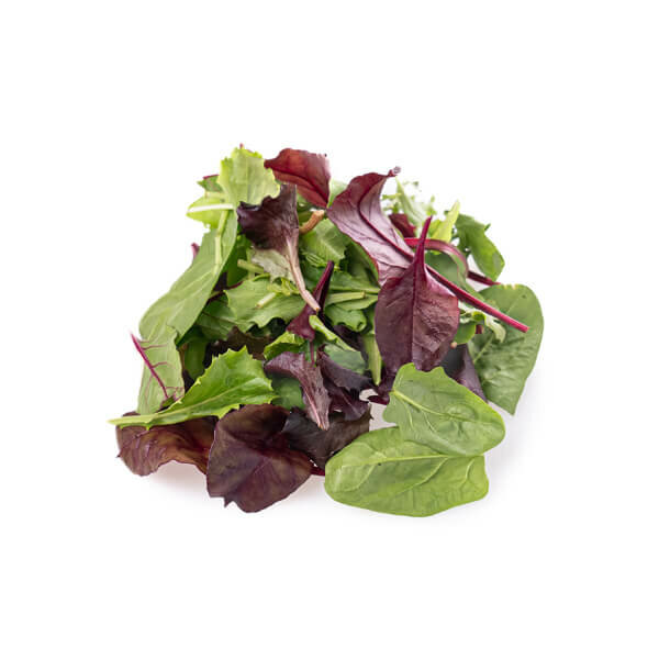 Mesclun Lettuce