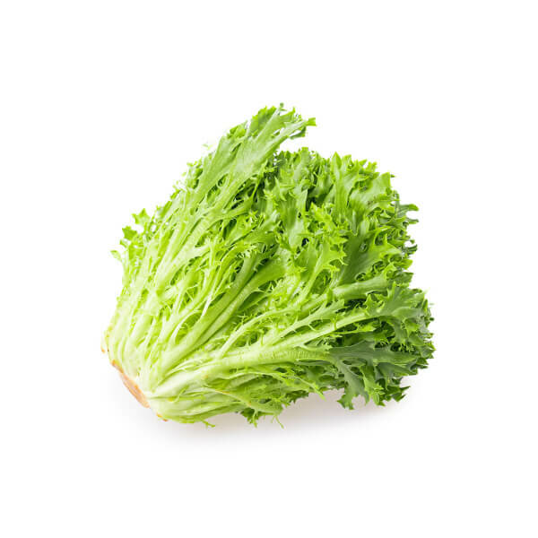 Frisee Green Lettuce