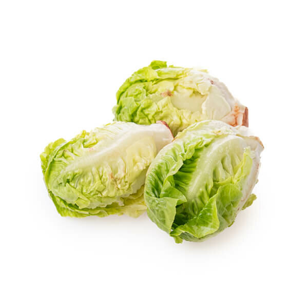 Little Gem Lettuce