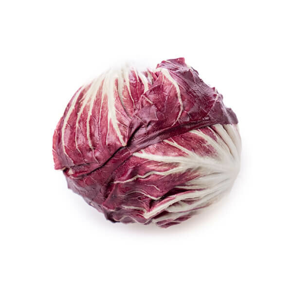 Radicchio Rosso Chioggia Lettuce