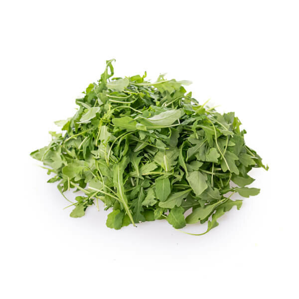 Rucola Baby Lettuce