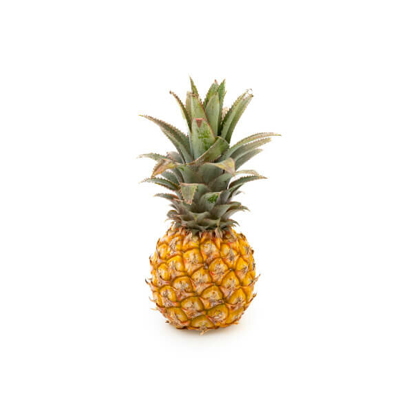 Baby, Queen Victorian Pineapple