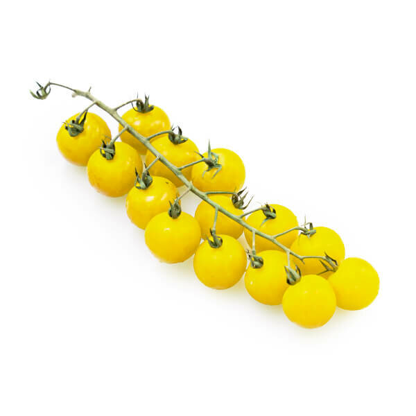 Cherry Yellow Vine Tomato