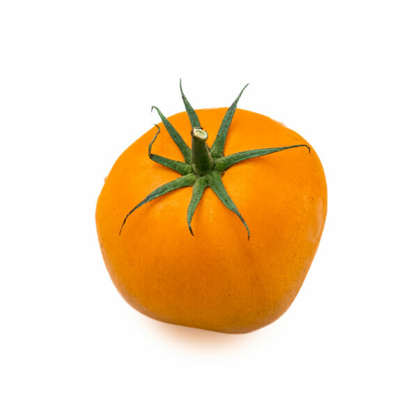 Orange Tomato