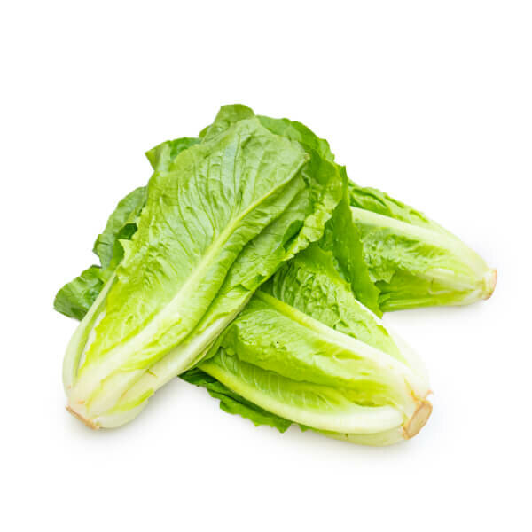 Lettuce