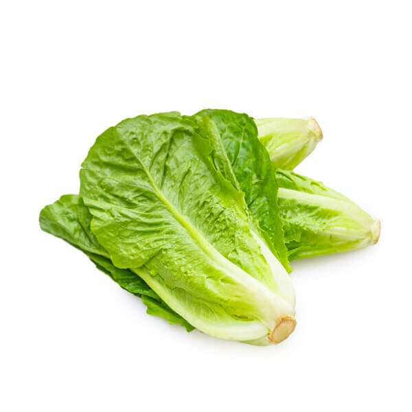 Lettuce