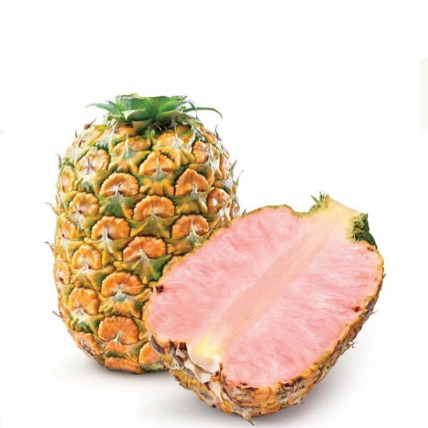 Pink Pineapple 