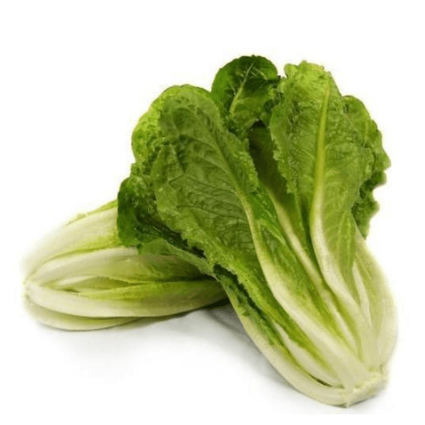 Romaine Lettuce