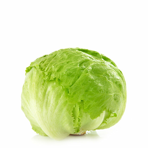 Iceberg Lettuce