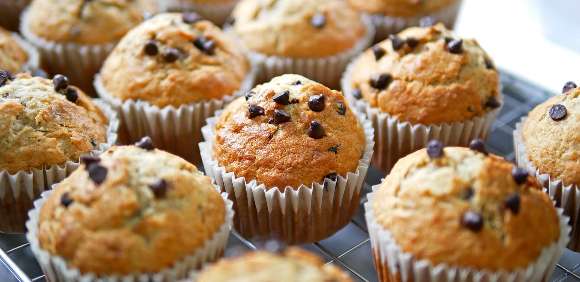 Banana Chocolate Chip Muffins